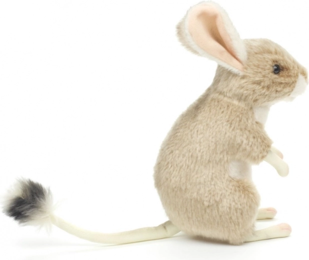 Légère et idéale pour voyager