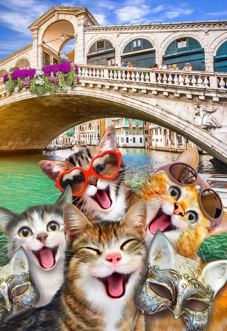 Puzzle en bois chatons à Venise 300 pièces