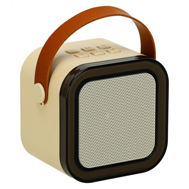 Ensemble Karaoke 2 microphones + haut-parleur portable BLUETOOTH USB LED couleur beige