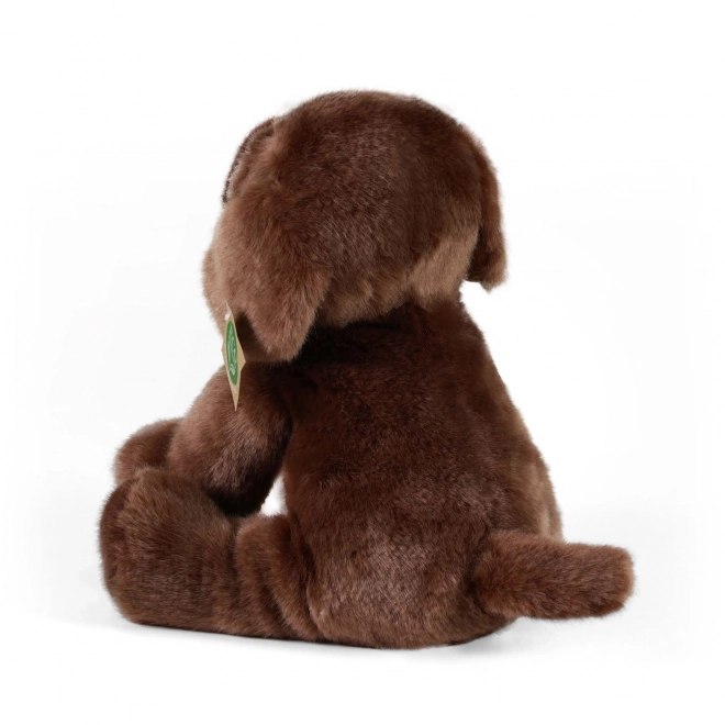 Chien en peluche Labrador assis Rappa écologique