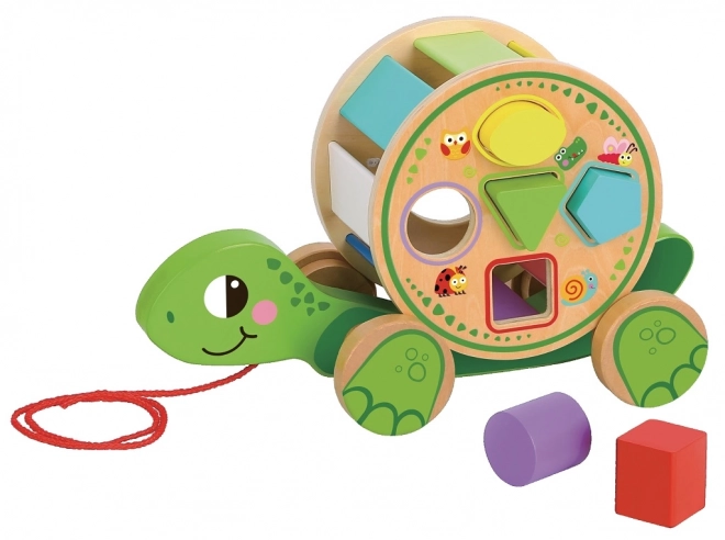 Tortue à tirer 2Kids Toys