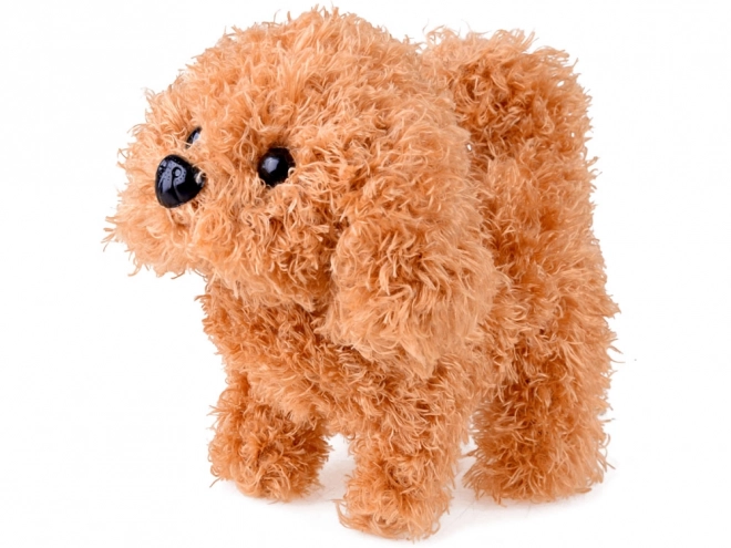 Chien interactif du kit petit vétérinaire