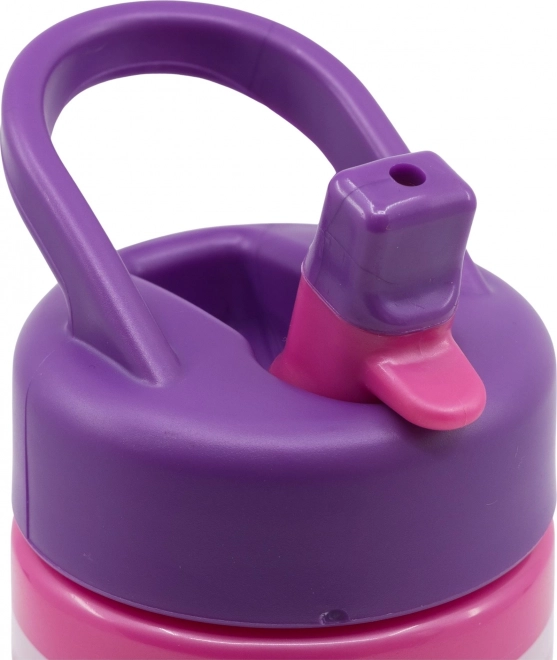 Bouteille à boire STOR Pat' Patrouille : Sky et Everest 410 ml