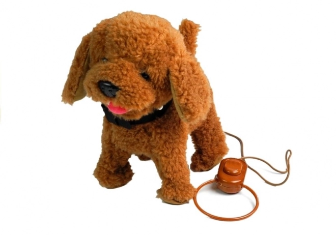 Chien interactif Chien en laisse Caniche brun