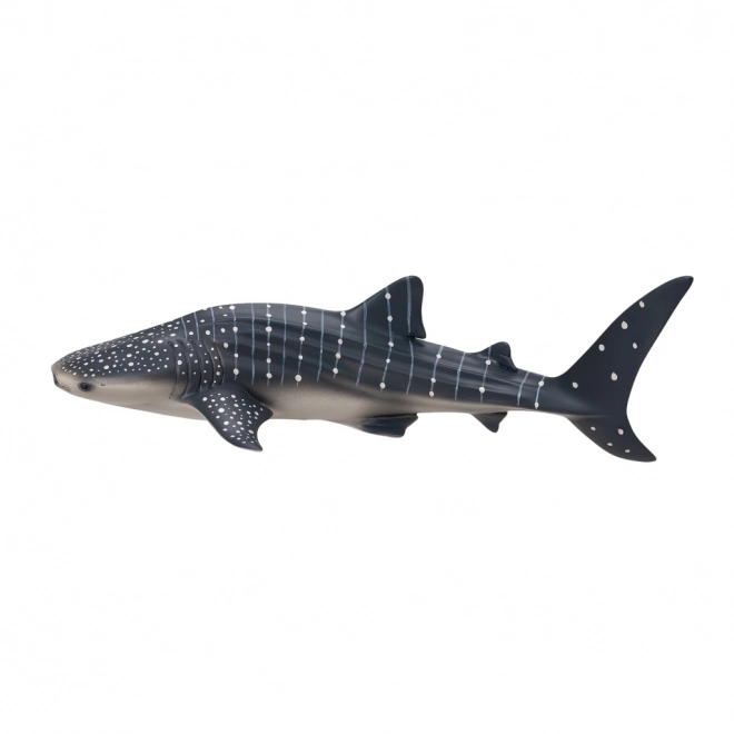 Mojo Requin baleine
