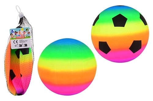 Balle arc-en-ciel dans un filet 23 cm