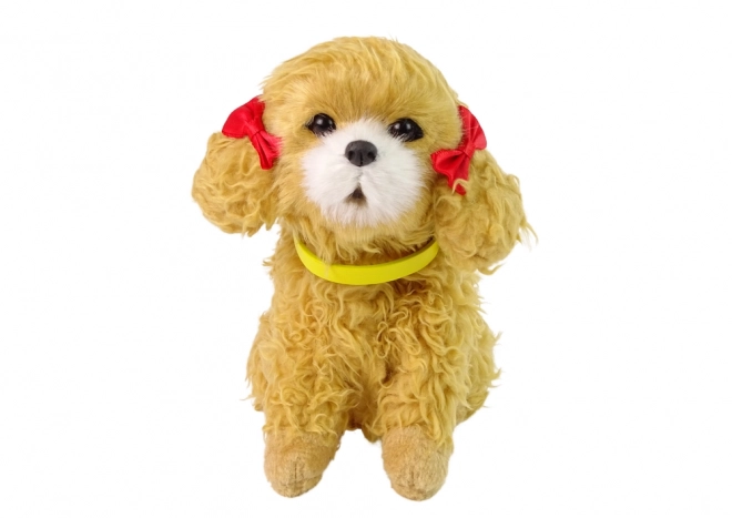Pudel en peluche interactif