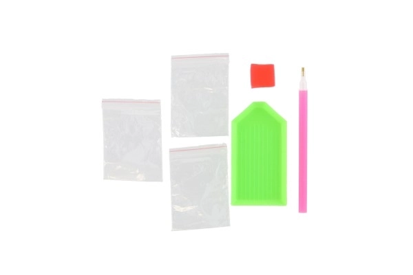 Kit de peinture diamant - violoniste magique