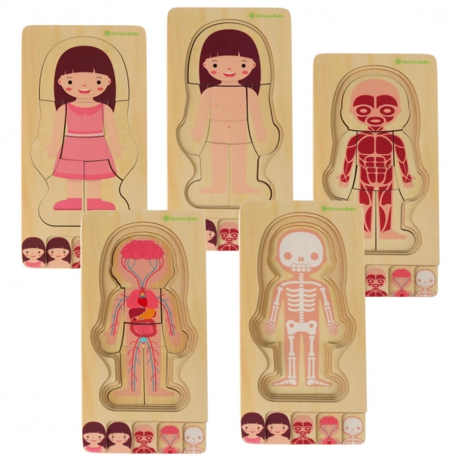 Puzzle en bois Montessori parties du corps - fille