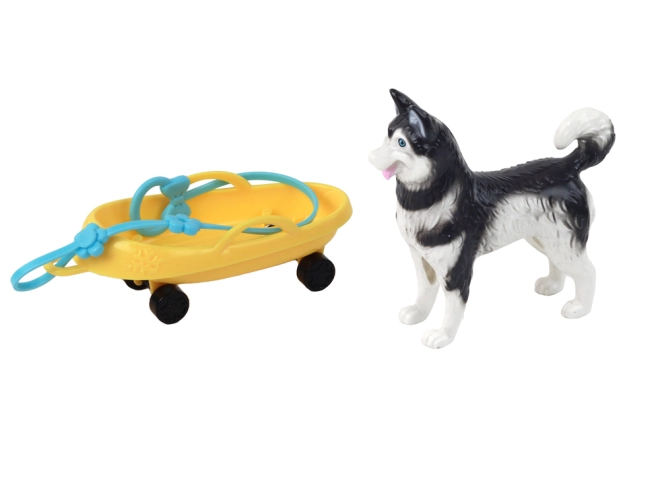 Chien Husky comme compagnon fidèle