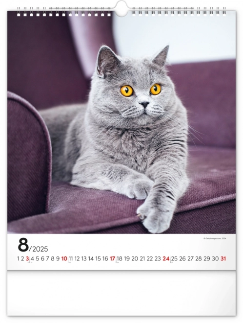 Calendrier mural Chats 2025, 30 × 34 cm
