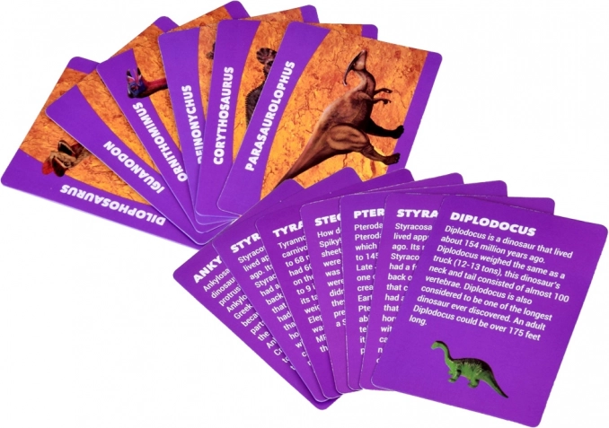 Apprendre en jouant avec des cartes informatives
