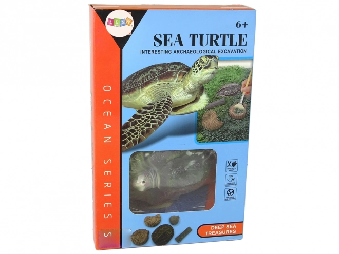 Ensemble éducatif fouilles tortue Ammonites