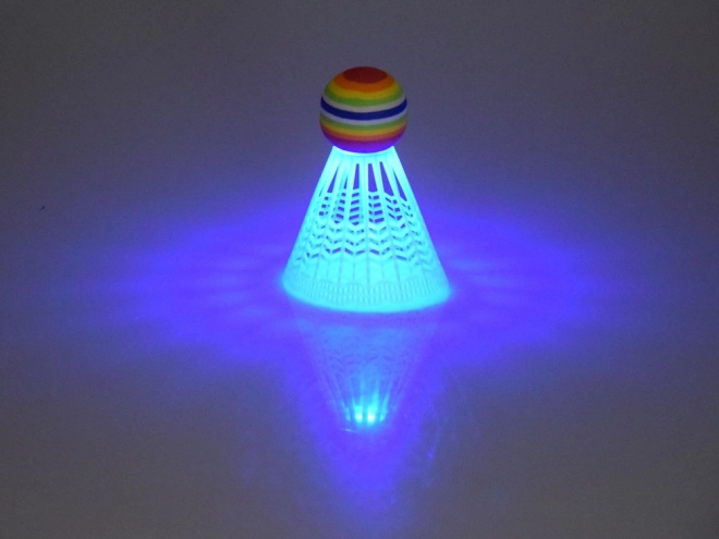 Raquettes de badminton lumineuses pour le divertissement