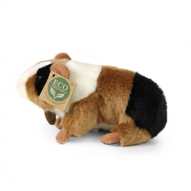 Rappa Morceau en peluche 17 cm ECO-FRIENDLY