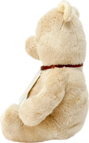 Rainbow Peluche Winnie l'Ourson