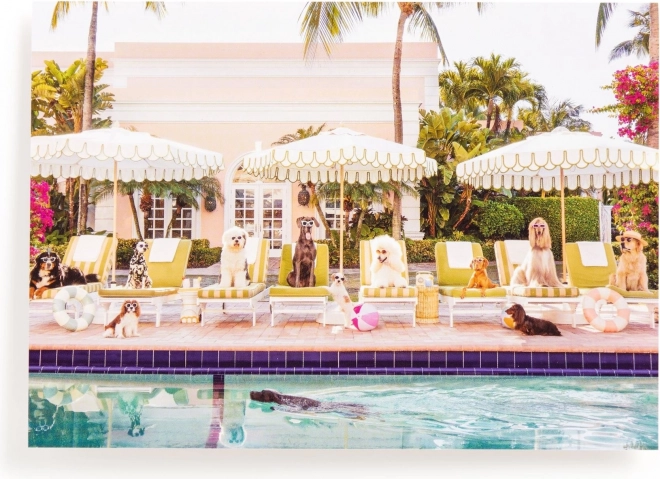 Puzzle À la piscine de Palm Beach 1000 pièces