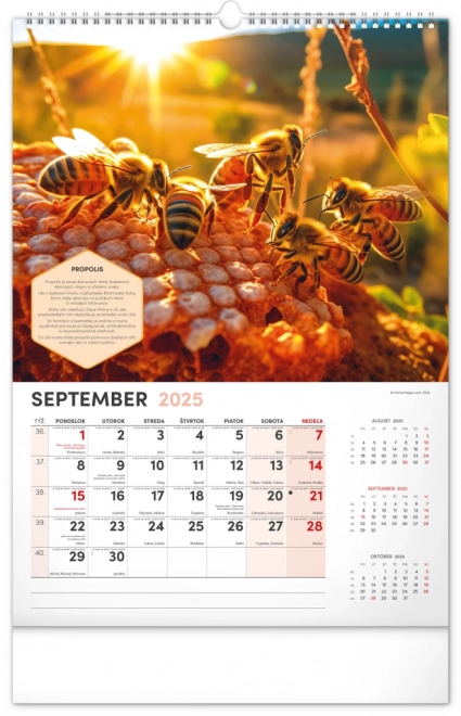 Calendrier mural NOTIQUE Apiculture 2025, 33 x 46 cm