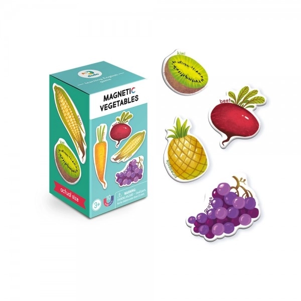 Jeu magnétique Fruits