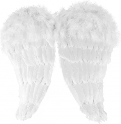 Ailes d’ange en plumes