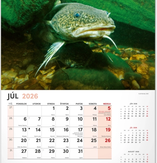 Calendrier mural Pêcheur 2026