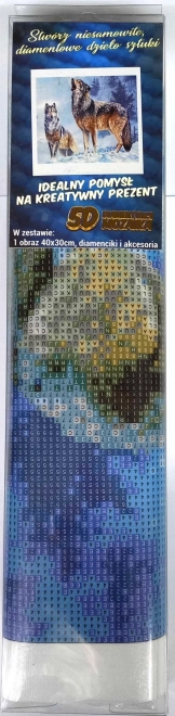 Peinture au diamant Appel du loup 30x40cm