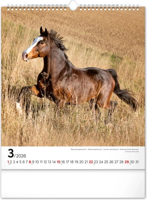 Calendrier mural Chevaux 2026