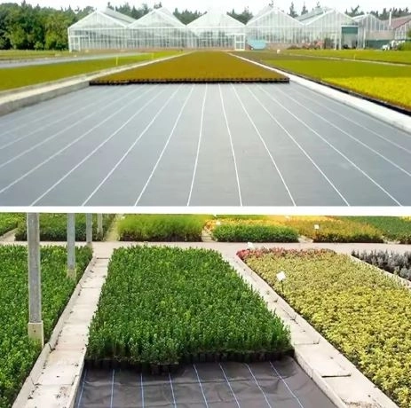Agrotkanina noire 100 cm x 50m UV 70g contre les mauvaises herbes