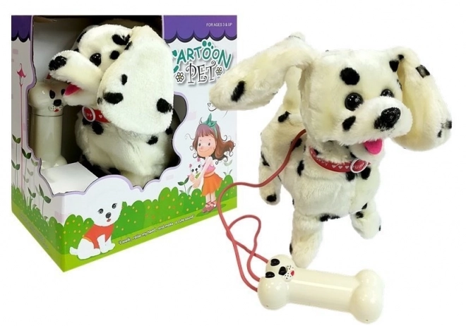 Dalmatien contrôlé par laisse Pilot Bone