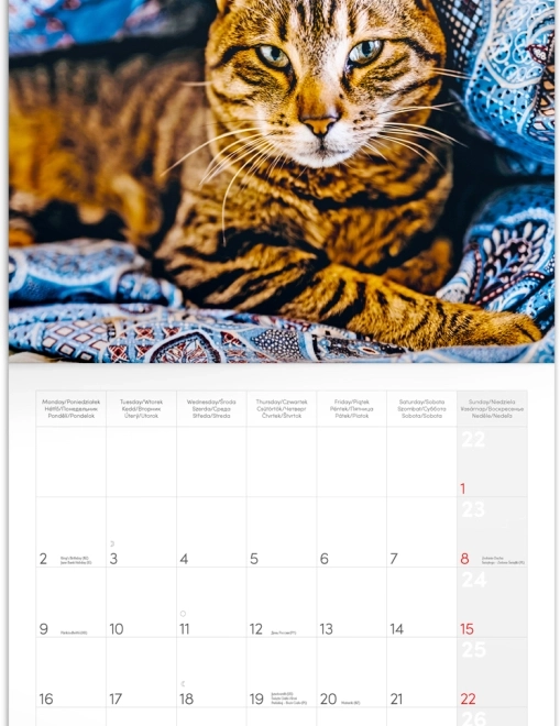 Calendrier mémo clair et lisible