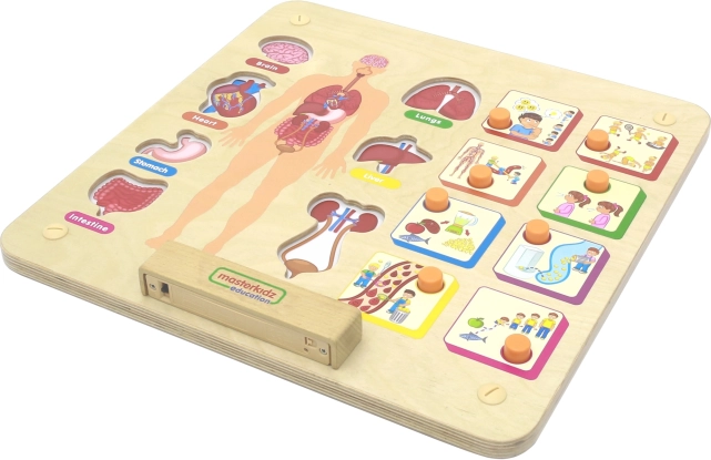 Tableau éducatif du corps humain Masterkidz Montessori