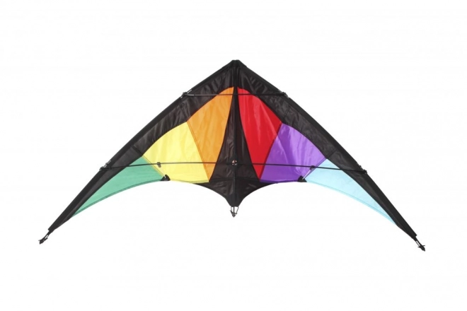 Cerf-volant de sport volant Dragon 120 x 50 cm