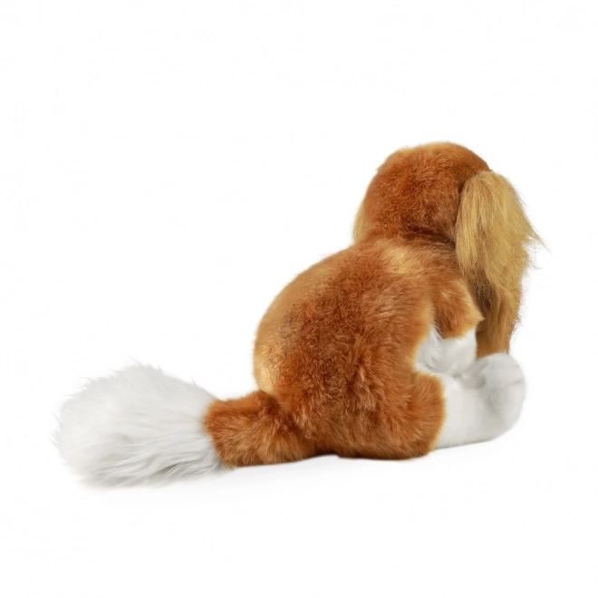 Chien en peluche Cavalier King Charles Spaniel écologique