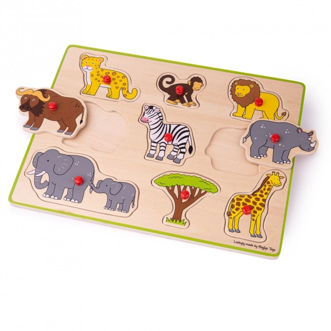 Puzzle incursion Safari