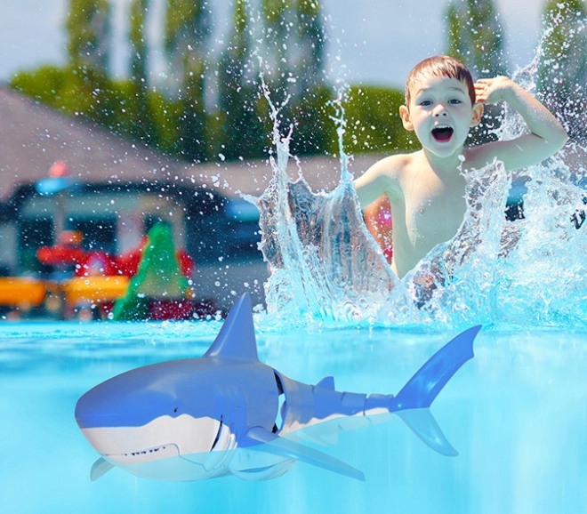 Requin télécommandé