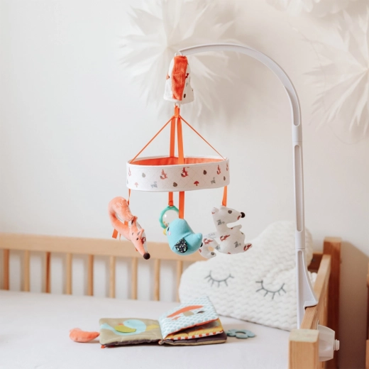 Fixation sûre et stable