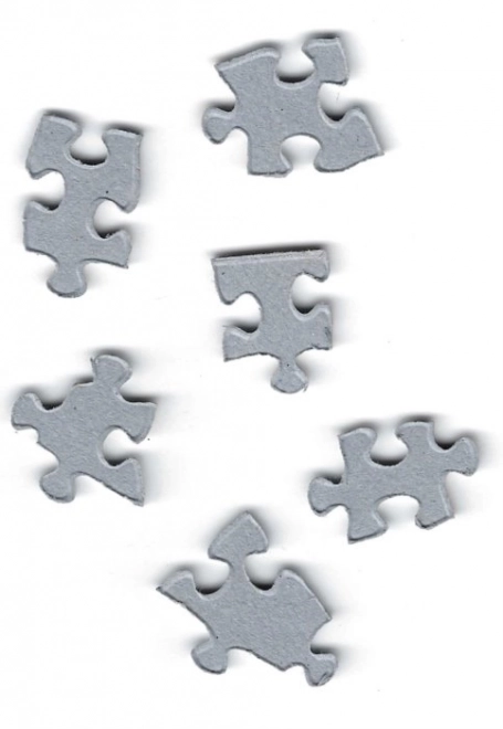 Eurographics Puzzle Amour Années 60 1000 pièces