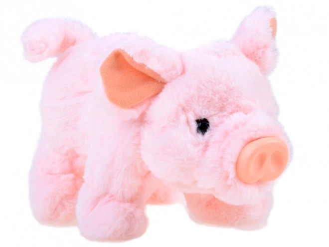 Petit cochon en peluche interactif