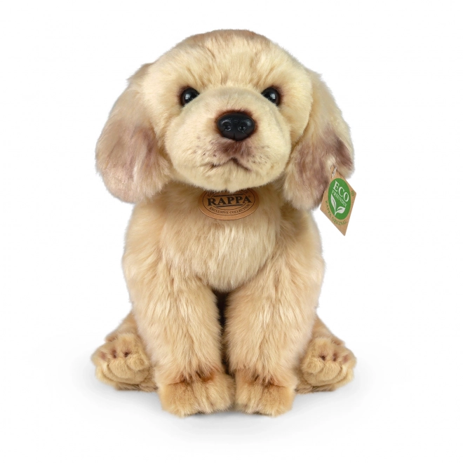 Labrador en peluche assis 27 cm ECO-FRIENDLY