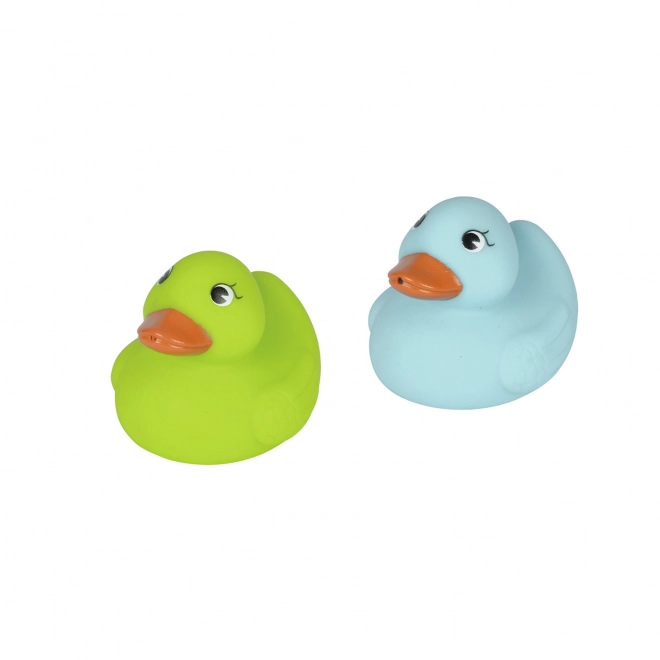 Canards pour l'eau dans un filet