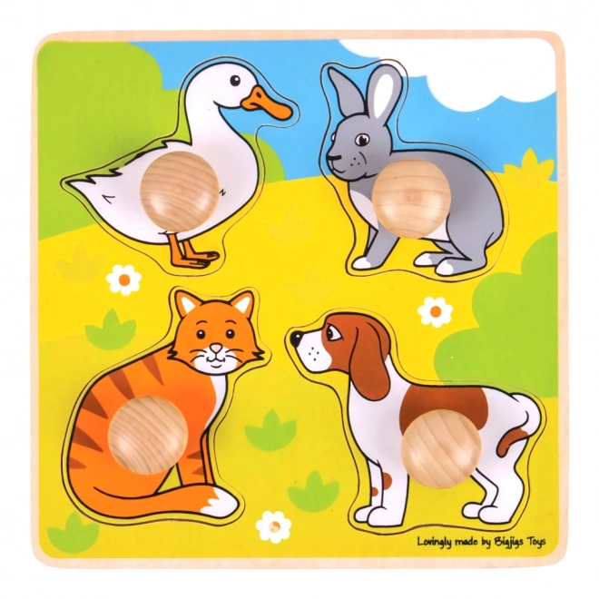 Bigjigs Toys Puzzle à encastrer animaux domestiques