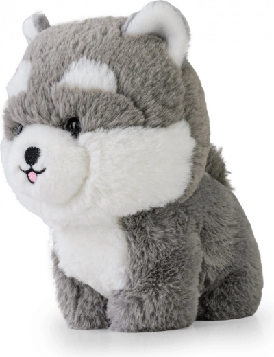 Détails brodés sécurisés