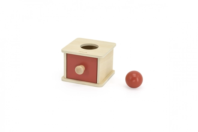 Activités en bois 6 pièces