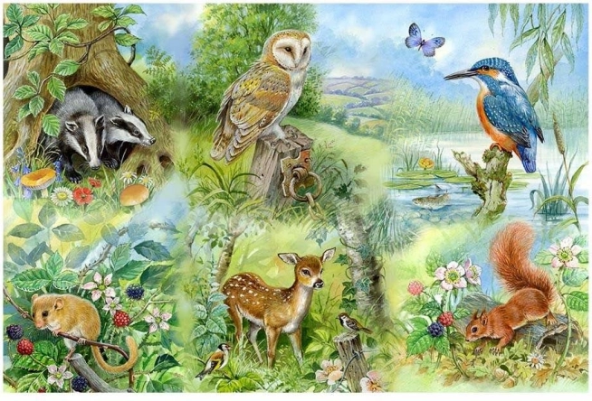 Puzzle Étude de la nature 250 pièces
