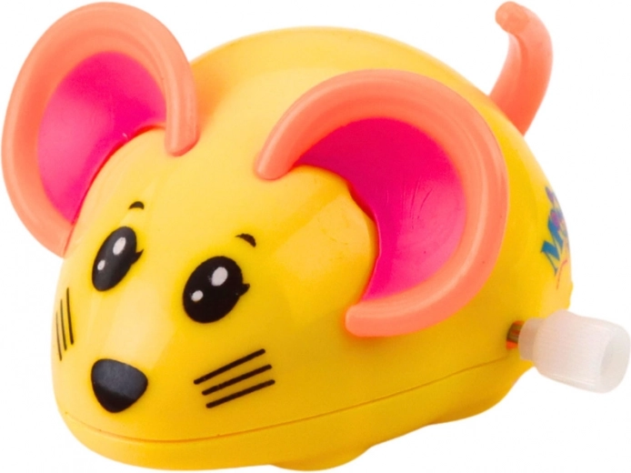 Assortiment de couleurs gaies