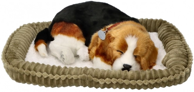 Chiot Beagle Respira Perfect Petzzz