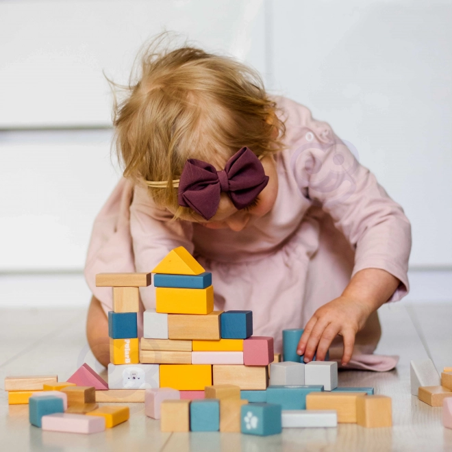 Jeu de construction en bois 60 blocs