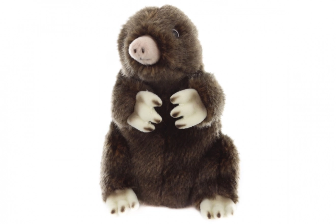 Peluche Taupe 18 cm