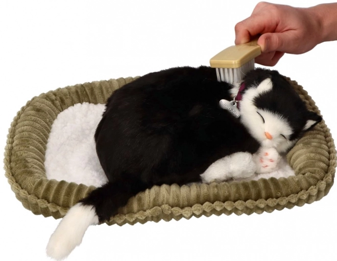 Jouet interactif Perfect Petzzz chat noir et blanc
