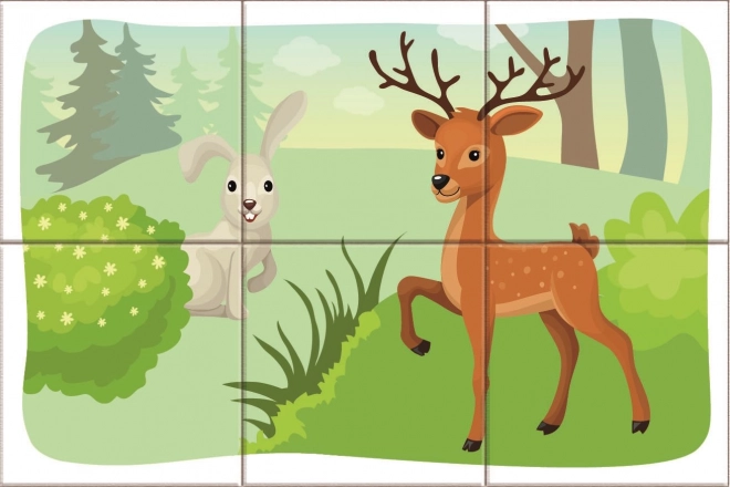 Dino Blocs de bois Animaux de la forêt